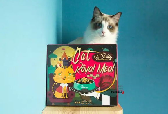 柏可心猫粮好吗 柏可心猫粮好吗