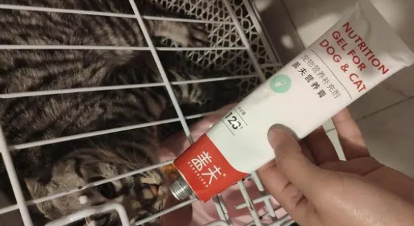 盖夫营养膏怎么样 盖夫营养膏怎么样