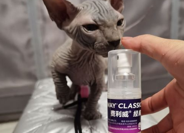 猫咪用费利威会有依赖吗