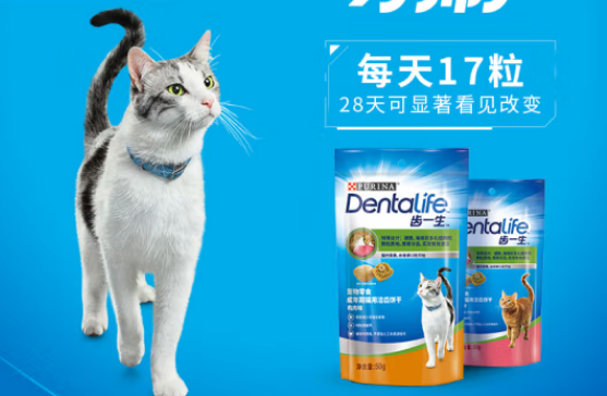 齿一生猫饼干小猫可以用吗 齿一生猫饼干小猫可以用吗
