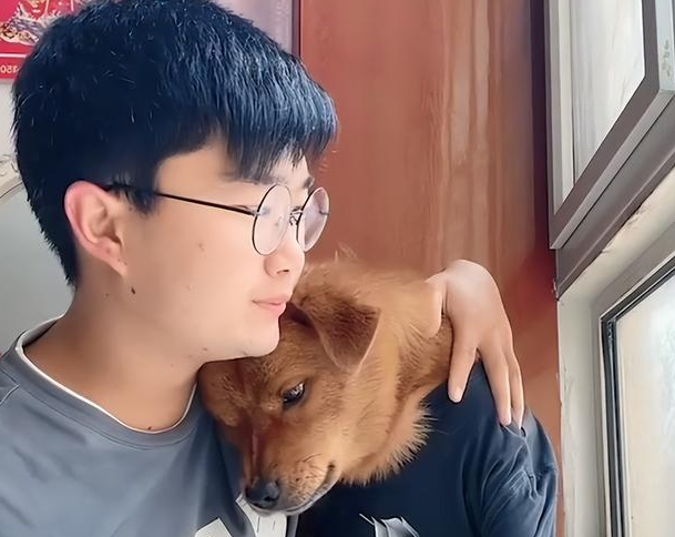 百万网红虐狗疑似反转，狗主人自证清白