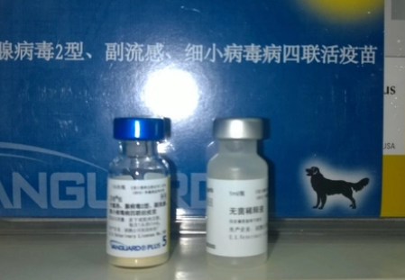 辉瑞卫佳5一共要打几次