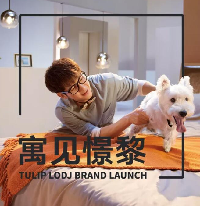 FOFOS两只福狸X憬黎联合打造首个宠物友好公寓 FOFOS两只福狸X憬黎联合打造首个宠物友好公寓