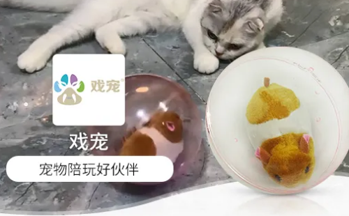 戏宠