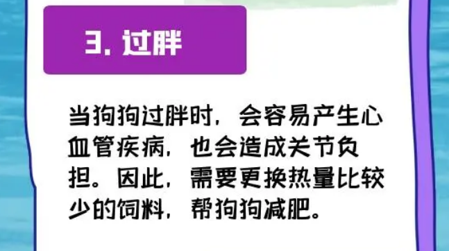 换狗粮后拉肚子？符合4种情况必须换粮