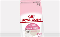 哪个牌子的猫粮好