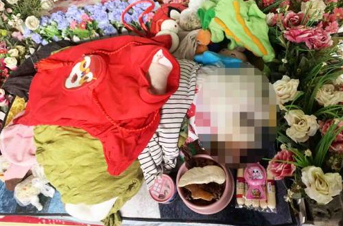 小区两只宠物狗离奇死亡,其中一只催吐出来的是火腿肠 小区两只宠物狗离奇死亡,其中一只催吐出来的是火腿肠
