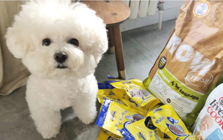 比熊犬狗粮哪个牌子好 比熊犬狗粮哪个牌子好