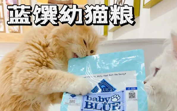 蓝馔猫粮动物蛋白有多少 蓝馔猫粮动物蛋白有多少
