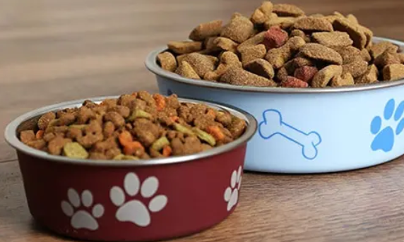 两种狗粮可以混着吃吗