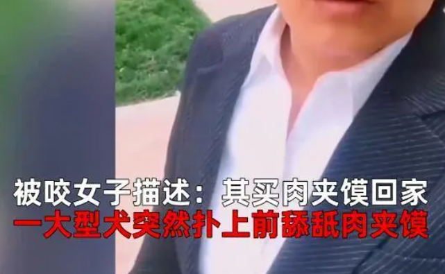 女子肉夹馍被狗抢惊吓驱赶,主人竟命令狗去咬女子,网友:咬回去 女子肉夹馍被狗抢惊吓驱赶,主人竟命令狗去咬女子,网友:咬回去