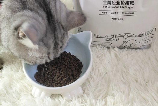 便宜的猫粮多少钱一斤