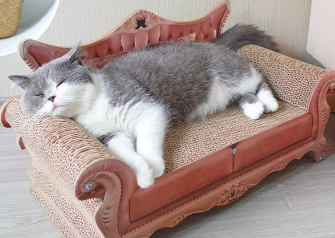 怎么做小猫的窝