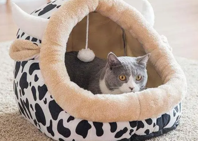 猫咪喜欢怎么样的猫窝?铲屎官来看看吧 猫咪喜欢怎么样的猫窝?铲屎官来看看吧