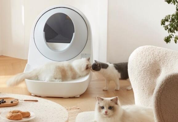 catlink猫砂盆有什么功能