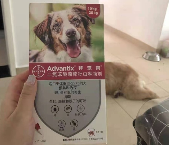 拜宠爽驱虫药好吗