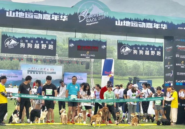 盖夫携Daventures Race山地嘉年华,户外运动会看狗狗肆意撒欢 盖夫携Daventures Race山地嘉年华,户外运动会看狗狗肆意撒欢