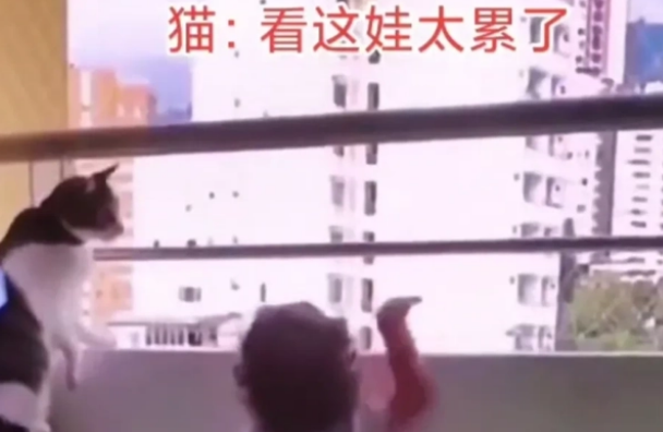 猫咪在家带娃,网友表示猫咪真是操碎了心 猫咪在家带娃,网友表示猫咪真是操碎了心