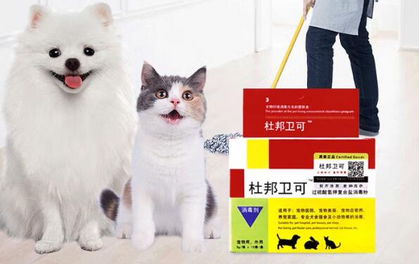 杜邦卫可可以天天用吗 杜邦卫可可以天天用吗