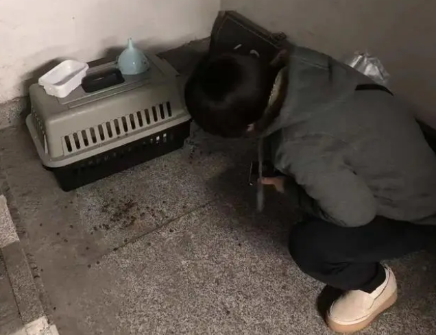 瑞安某小区一幕!这只狗好可怜