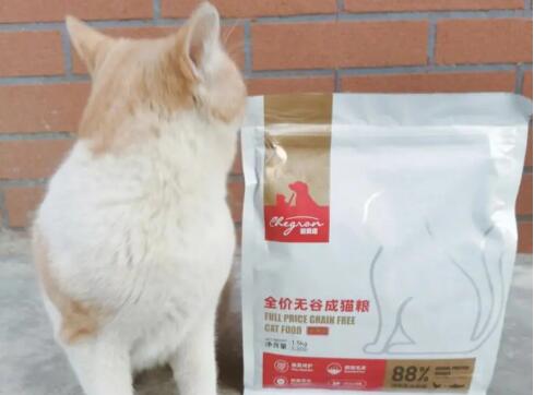 宠贵诺猫粮和宠熙猫粮哪个好 宠贵诺猫粮和宠熙猫粮哪个好