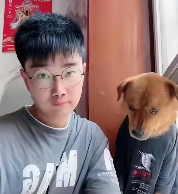 网红狗cheems图片-宠物网问答