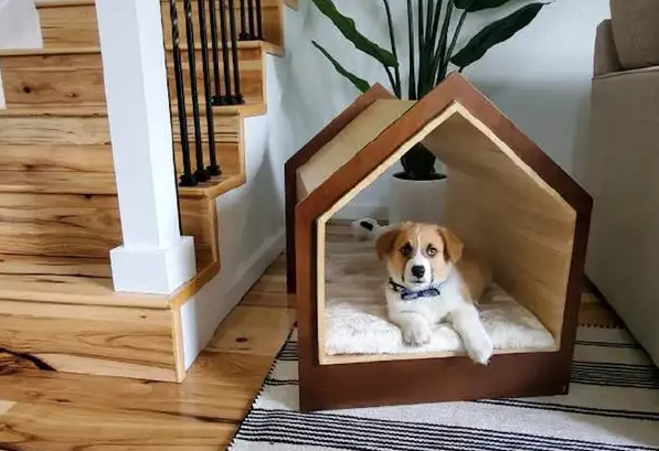 狗窝还可以叫什么