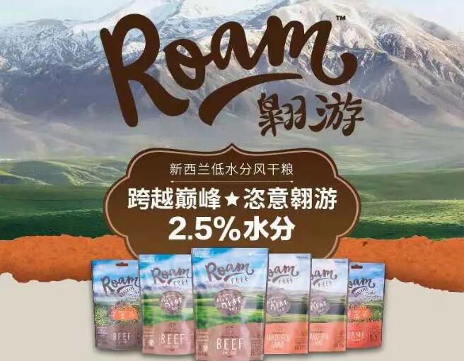 ROAM怎么样 ROAM怎么样