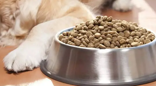 处方粮猫粮品牌推荐 处方粮猫粮品牌推荐