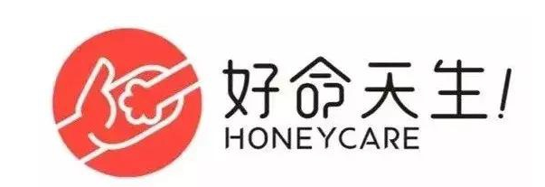 行业首套主题猫咪用品,好命天生能否成为“黑马”? 行业首套主题猫咪用品,好命天生能否成为“黑马”?