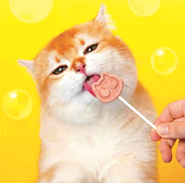 为猫咪馋嘴买单,猫零食口味丰富形态多样 为猫咪馋嘴买单,猫零食口味丰富形态多样