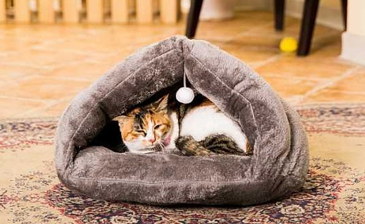 摩宠motodog猫垫如何