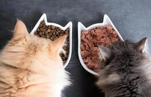 猫粮粗蛋白越高越好吗