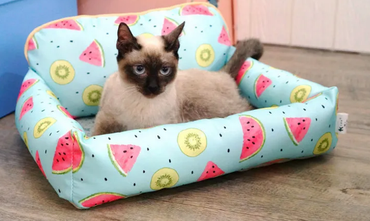 猫窝的做法和步骤 猫窝的做法和步骤