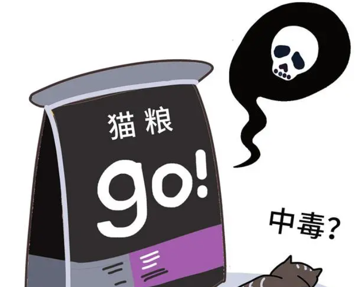 春节过年囤货猫粮,渴望无谷鸡肉猫粮 春节过年囤货猫粮,渴望无谷鸡肉猫粮