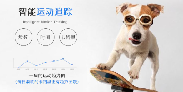 宠物时间宠物智能颈环好用吗