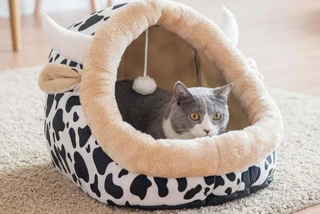猫喜欢封闭还是开放式猫窝