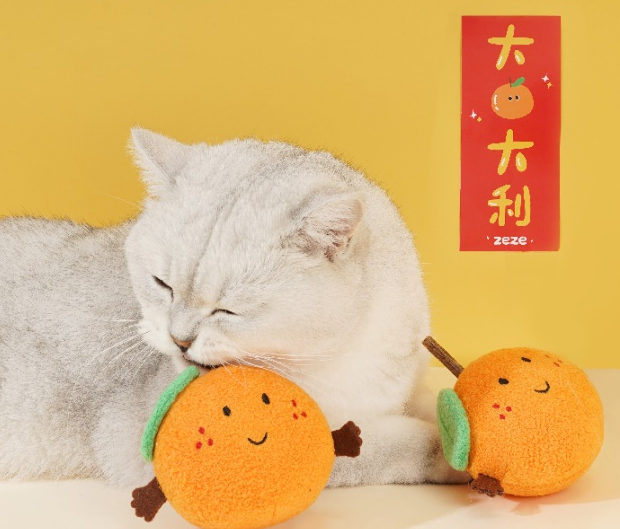 zeze哪里可以买