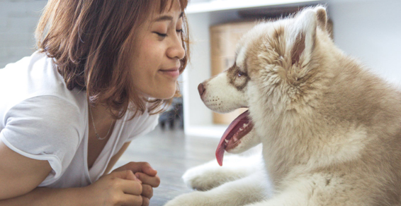 狗狗多长时间生小狗前的征兆”