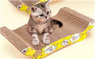 如何训练猫用猫抓板？几个小技巧get一下