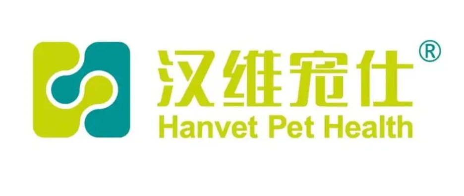 齐鲁和汉维宠仕的关系