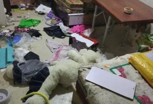 网友带哈士奇到姥姥家,结果都被赶出来了 网友带哈士奇到姥姥家,结果都被赶出来了