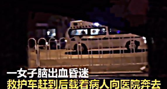 女子散步突然脑出血晕倒，金毛急中生智救主人