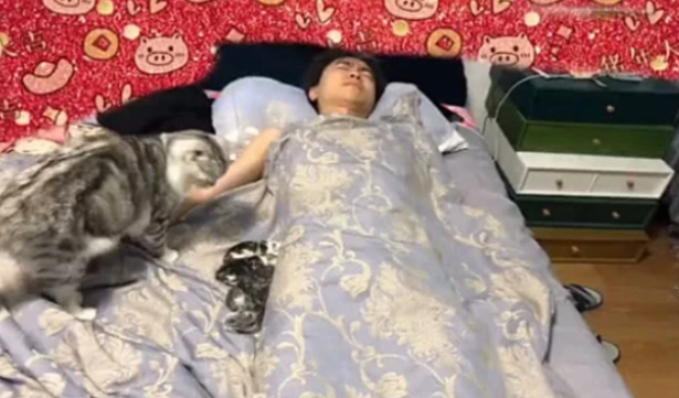 睡觉翻身媳妇大喊别动,扭过头一看差点出猫命 睡觉翻身媳妇大喊别动,扭过头一看差点出猫命