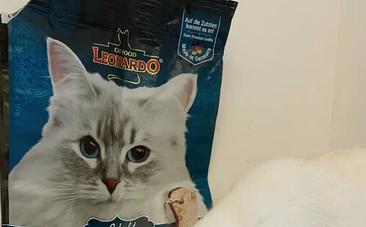 小李子猫粮哪个好 小李子猫粮哪个好