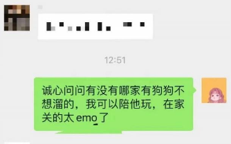 小区封控,柯基被邻居借走一天遛31趟,整只狗累瘫:这辈子都不想出门了! 小区封控,柯基被邻居借走一天遛31趟,整只狗累瘫:这辈子都不想出门了!
