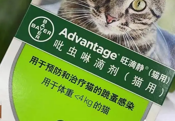 旺滴静猫用怎么样 旺滴静猫用怎么样