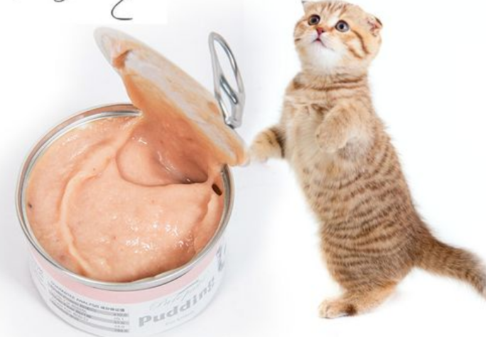 飘仕奶糕猫罐头怎么样 飘仕奶糕猫罐头怎么样