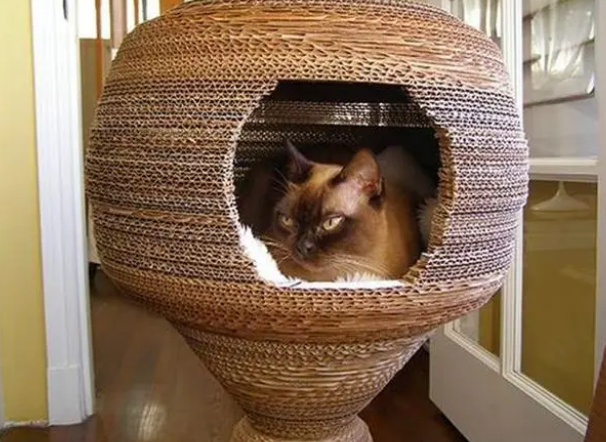 猫咪并非不喜欢猫窝,拒绝入住只因铲屎官的三种错误挑选 猫咪并非不喜欢猫窝,拒绝入住只因铲屎官的三种错误挑选
