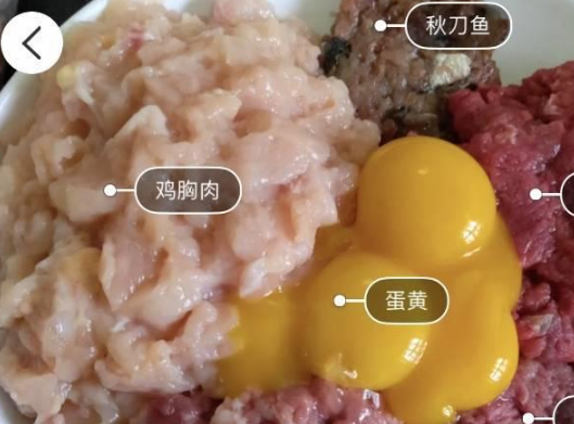 土豪教你如何科学养猫！网友不淡定了，没想到……